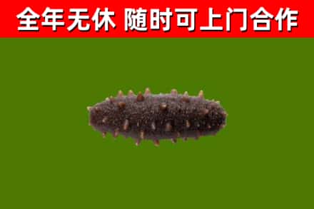 兴山区烟酒回收干海参.jpg